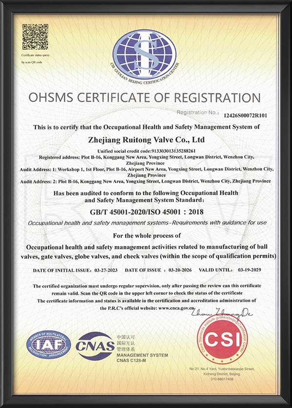 職業健康安全管理體系認證證書-英文